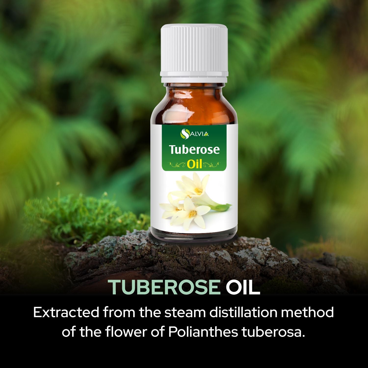 Salvia Natural Essential Oils Tuberose Oil Salvia Natural Essential Oils Tuberose Oil